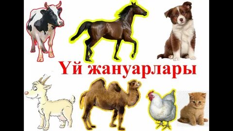 Сексуалды шабнами сурайе эротикалық