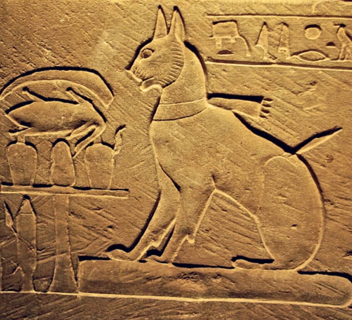 Древний Египет Бастет фрески. Фрески древнего Египта Баст. Египетские фрески с кошками. Изображение кошек в древнем Египте. Когда появились 1 кошки