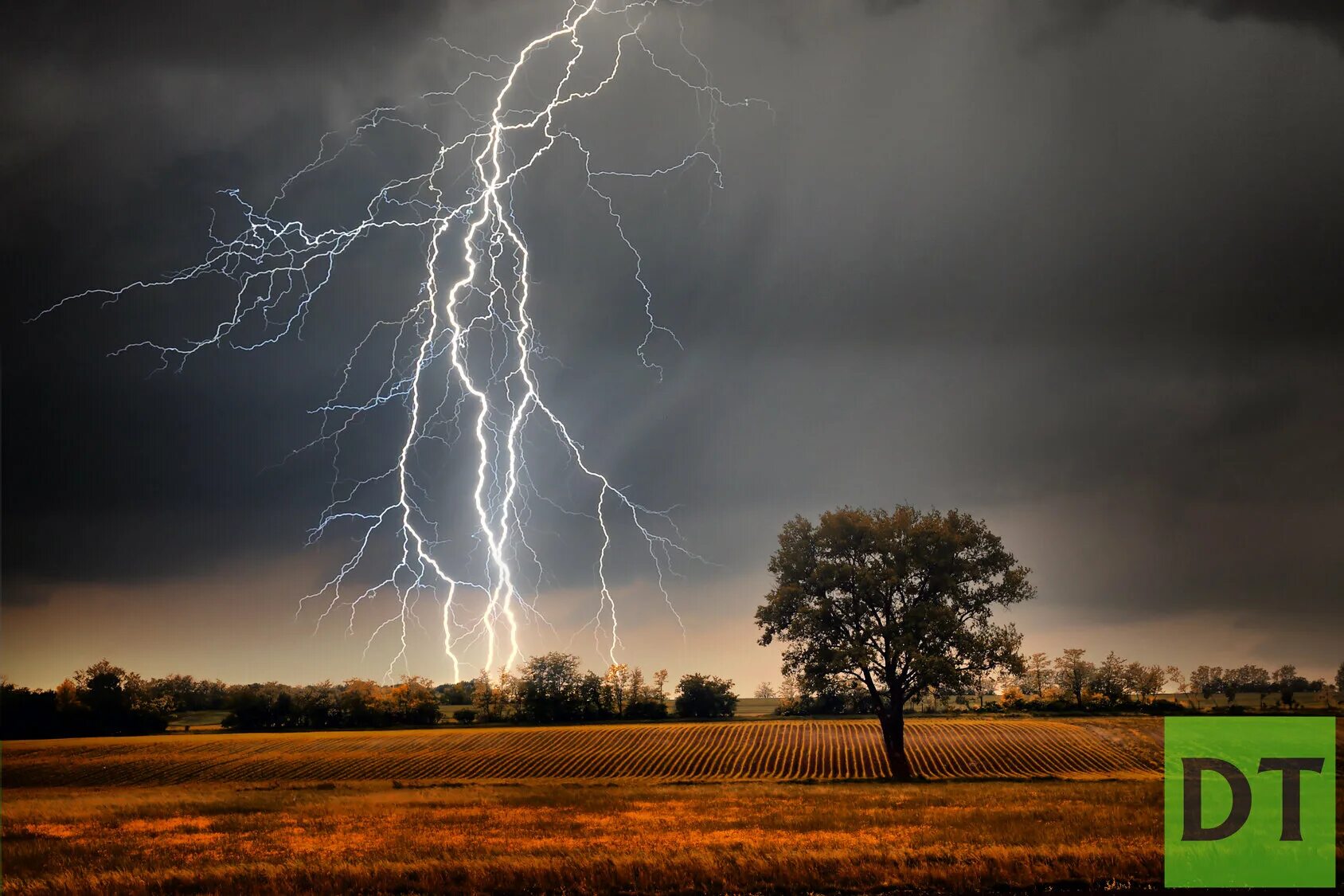 Thunder rain. Гроза. Гроза молния Гром. Гроза и дождь. Осенняя гроза.