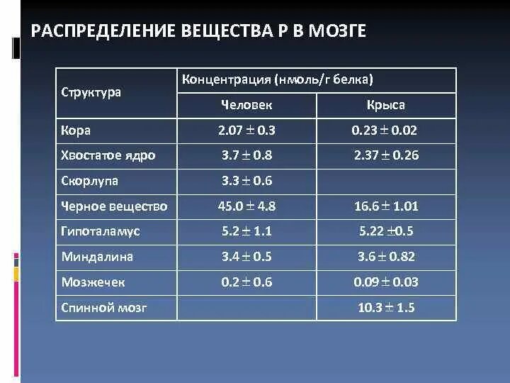 Из какого вещества состоят мозги