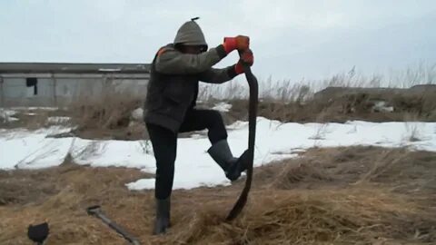 Все из за металлокопа новое видео 2024