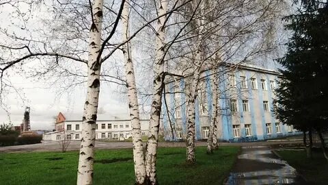Березовая роща прокопьевск