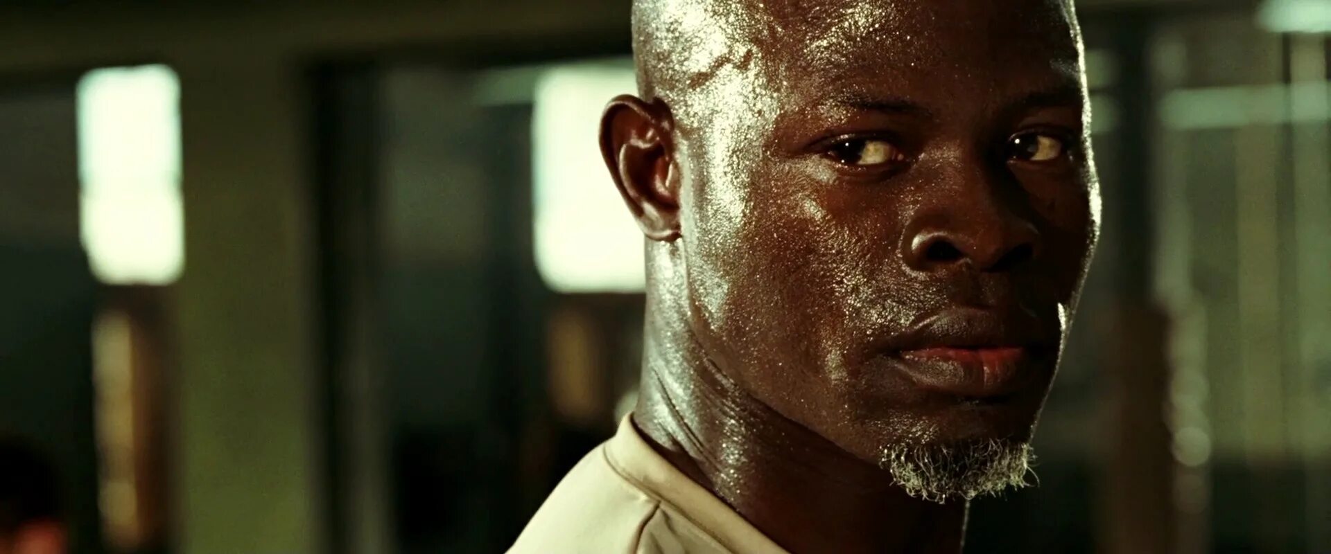 Never back down Djimon Hounsou.