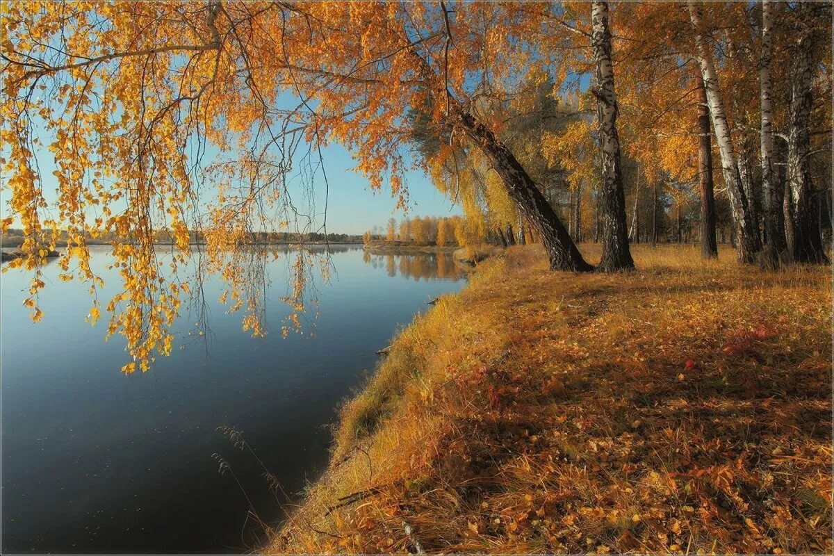 Осень пора