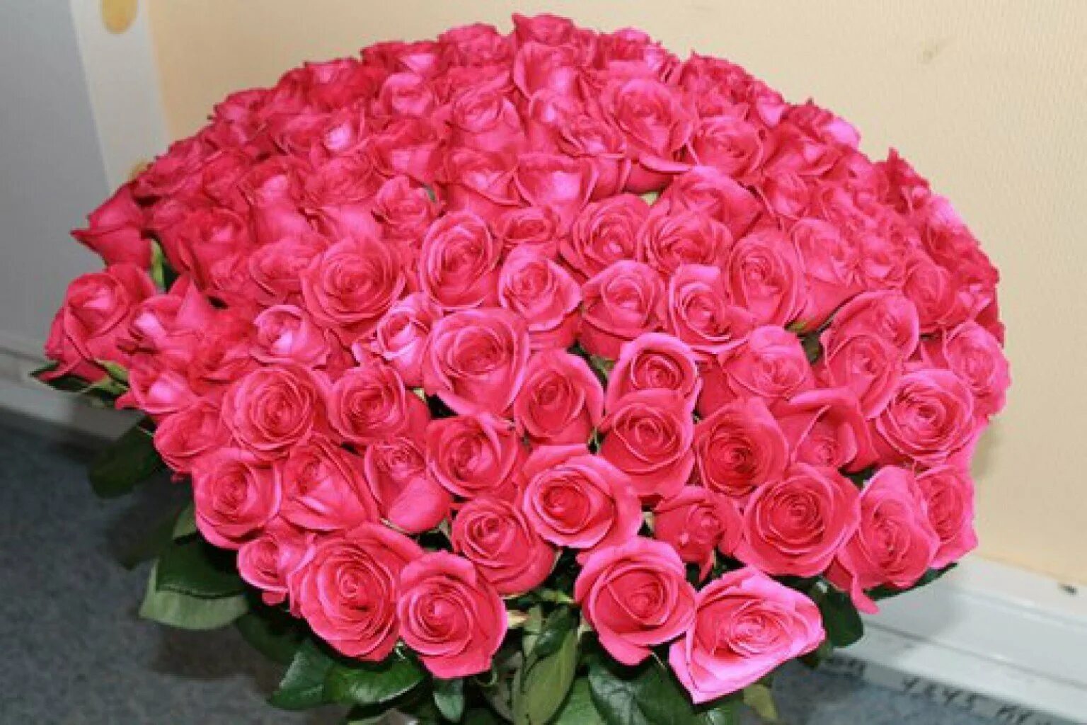 С днем рождения огромные розы. Шикарный букет цветов. Огромный букет цветов. Красивый букет роз. Красивые большие букеты.