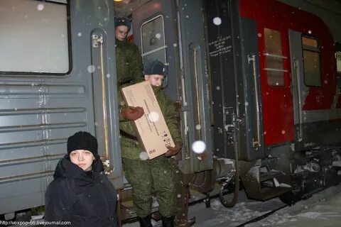 Новобранец 6 букв