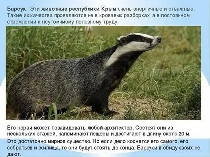 Животные крыма занесенные