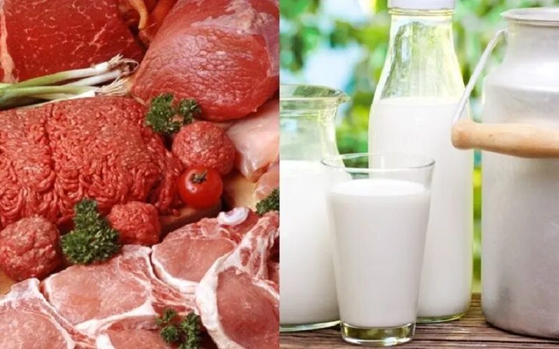 Мясо-молочная продукция. Мясо и молоко. Молочные и мясные продукты. Молочно мясная продукция.