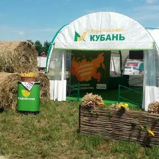 Аренда золотая нива