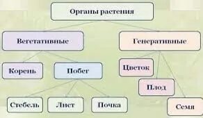 Генеративные инструменты