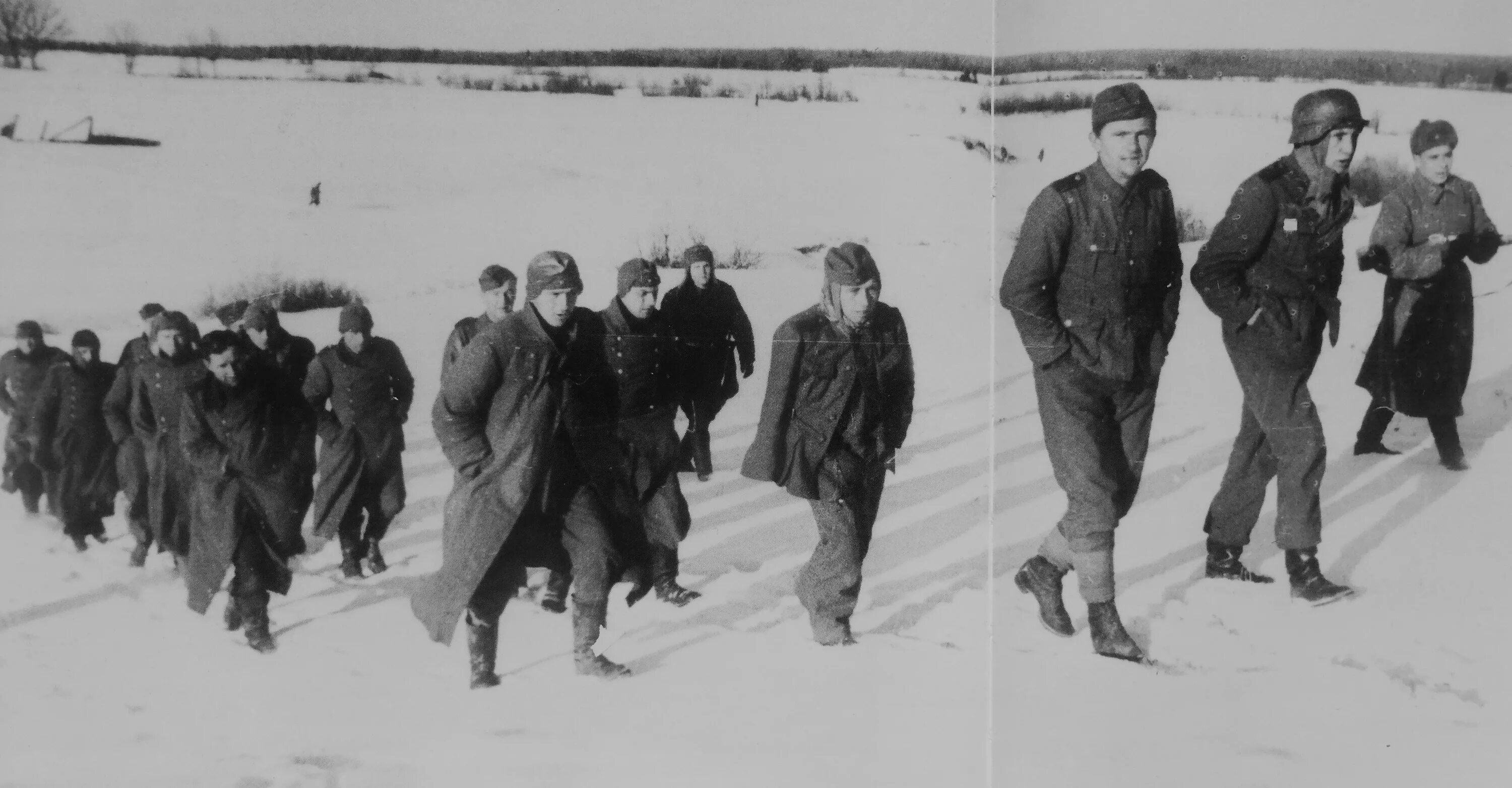 Попадет в плен к французам. Немцы 1941 зима. Немецкие пленные солдаты под Москвой. Пленные немцы в Сталинграде 1943.