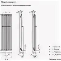 Высота вертикального. Радиаторы Zehnder вертикальные трубчатые Размеры. Вертикальные радиаторы Зендер Размеры. Высота установки трубчатого радиатора от пола. Радиатор трубчатый 560 высота.