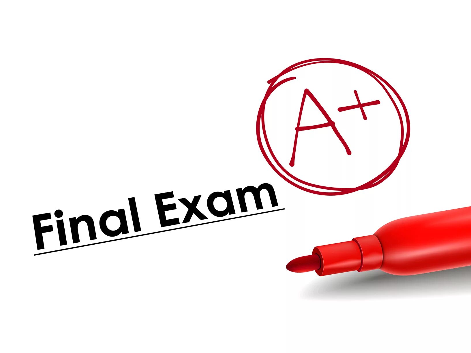 Final test 3. Final Exam. Ехам. Final Test. Персонажи Final Exam.