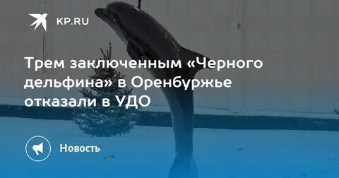Черный дельфин где на карте