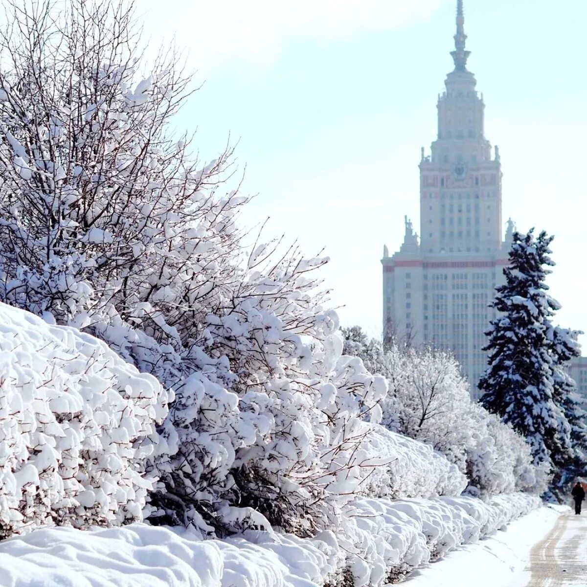Сейчас декабря