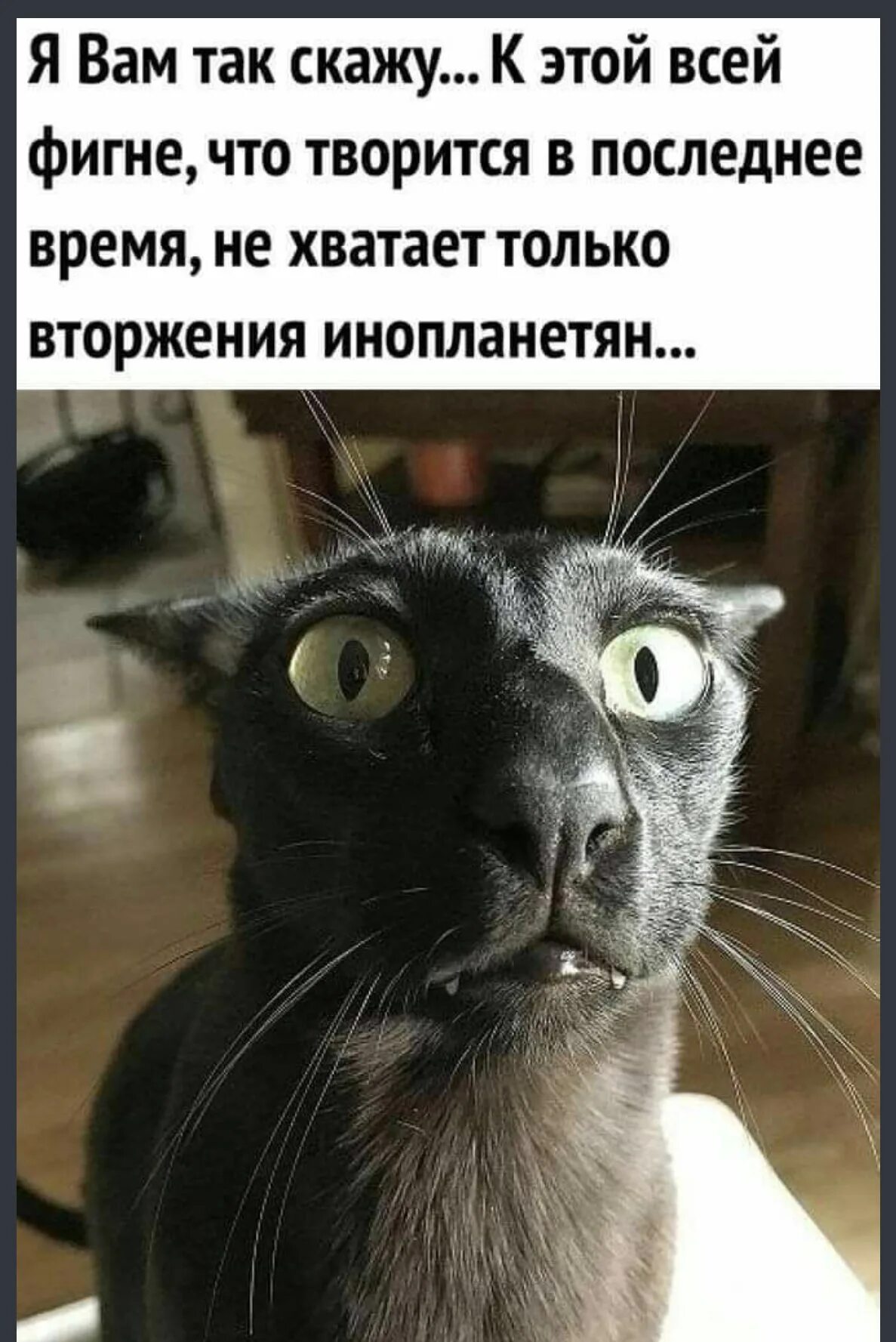 Что то интересное произошло