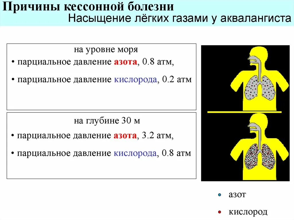 Кессонная болезнь возникает в результате изменения концентрации. Кессонная болезнь. кессонная болезнь причины. причины развития кессонной болезни.