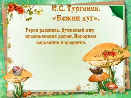Разделить грибы на две группы