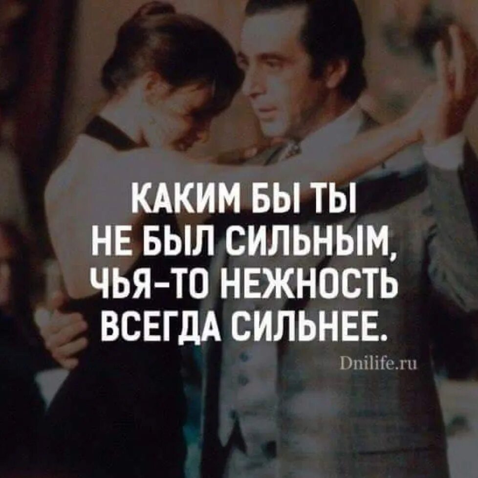 Я всегда силен. Афоризмы про нежность. Фразы о нежности. Нежность цитаты. Фразы про нежность.