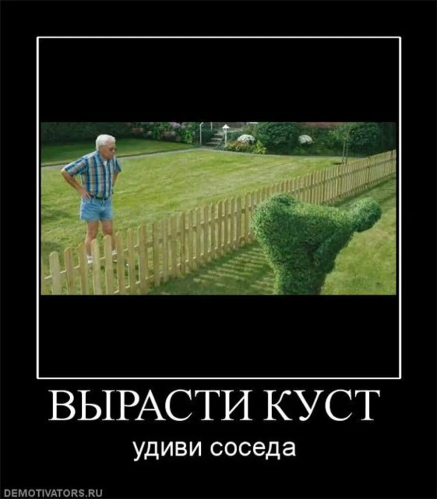 С соседом дружи а городе
