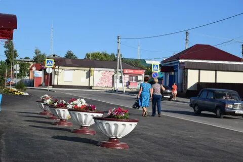 Рп5 кошки самарская область на недели