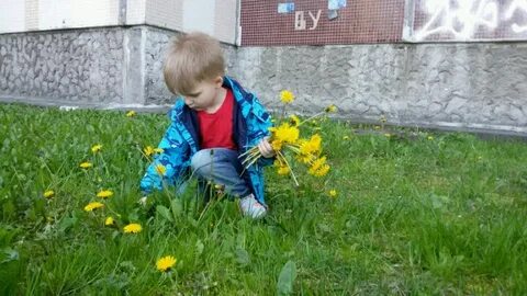 Ребенок рвет цветы