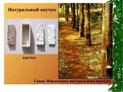 Открывай натуральную