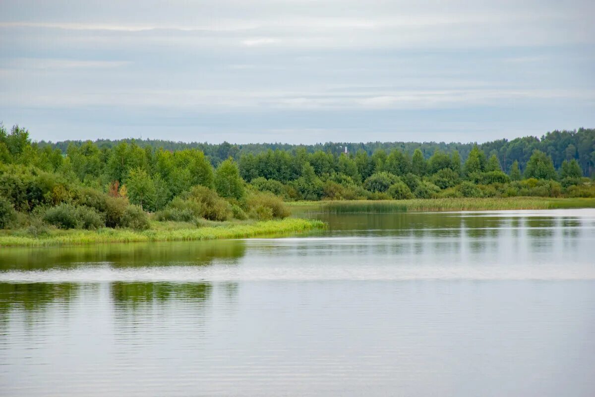 Река уводь. Река Уводь Иваново. Река Уводь Владимирская область. Уводь Кохма. Река Пекша, Колокша, Уводь, Теза..