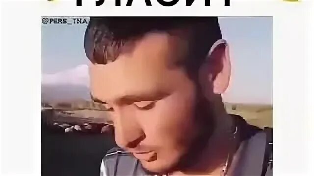 Правду гласишь