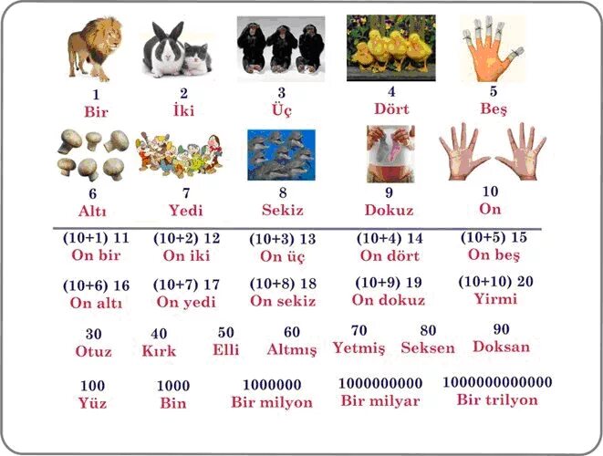 Цифры на турецком языке произношение. Турецкие цифры с произношением. Счет по-турецки от 1 до 10 с транскрипцией. Счет на турецком языке от 1 до 10. Цифры на узбекском