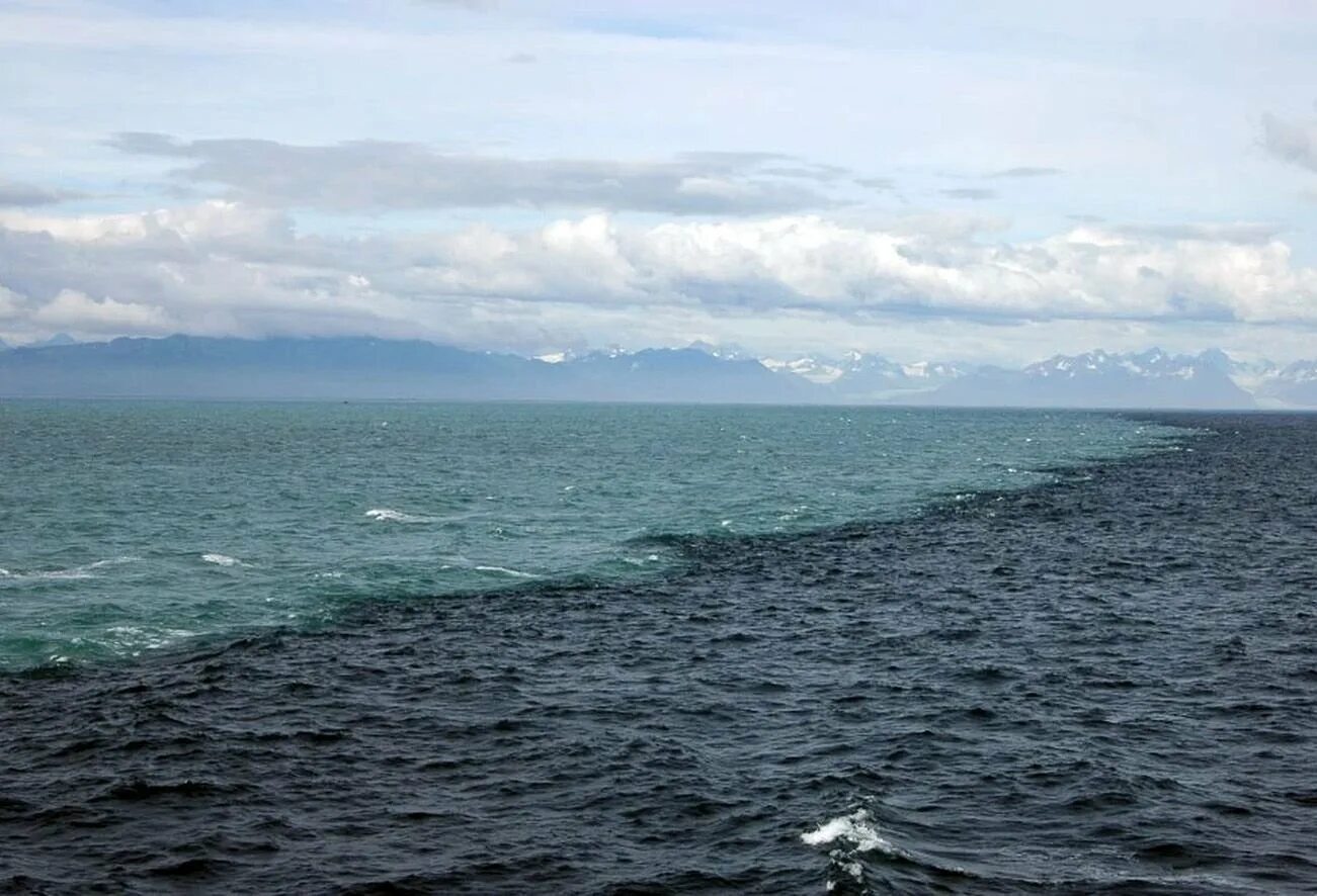 Почему видео тихое. Галоклин Балтийское море. Залив Аляска и тихий океан. Карибское море Атлантический океан.