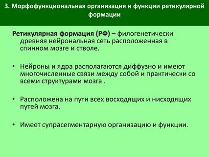 Морфофункциональные свойства организма на протяжении жизни