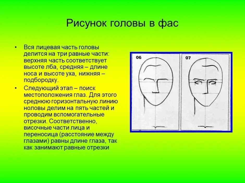 Изображение головы человека 6 класс. Рисование головы в фас. рисунок головы человека фас. схема рисования головы фас. пропорции лица для рисования.