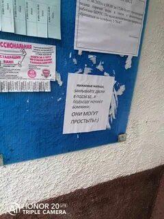20 объявлений