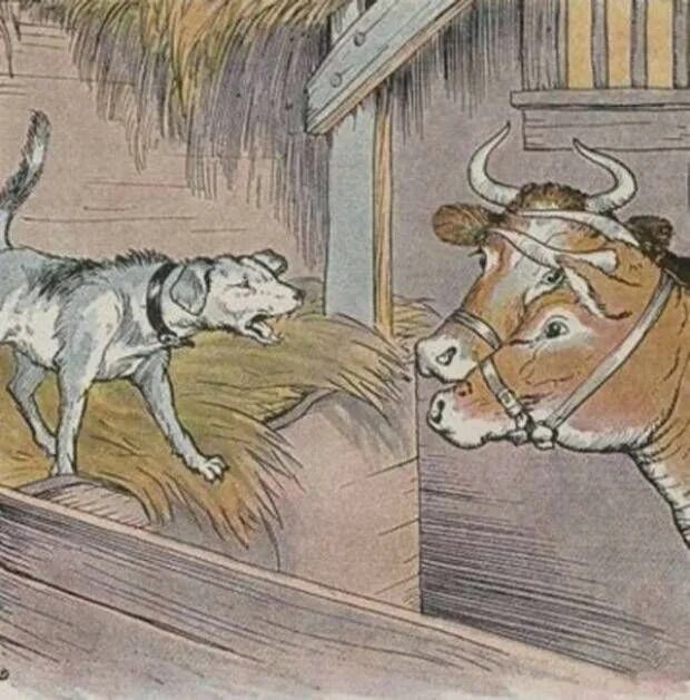 Что значит выражение собака. Собака на сене басня. Басня Эзопа собака на сене. Собака на сене иллюстрации. Собака на сене поговорка.