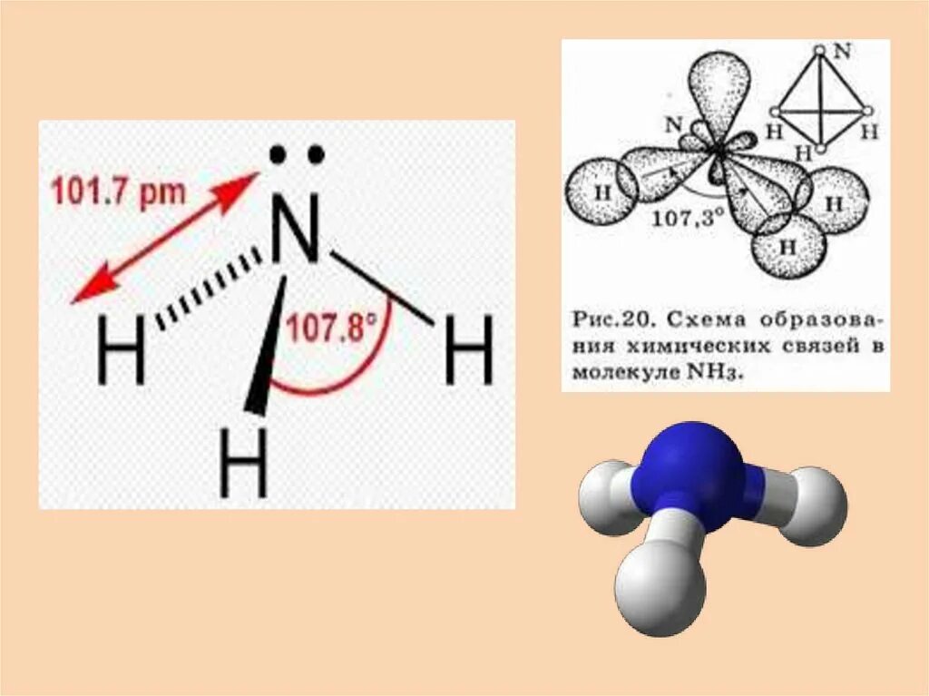 Nh 3 связь. Строение молекулы аммиака 9 класс. Nh3 строение молекулы. Строение молекулы аммиака. Строение аммиака nh3.