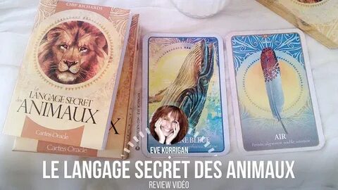 Des cartes