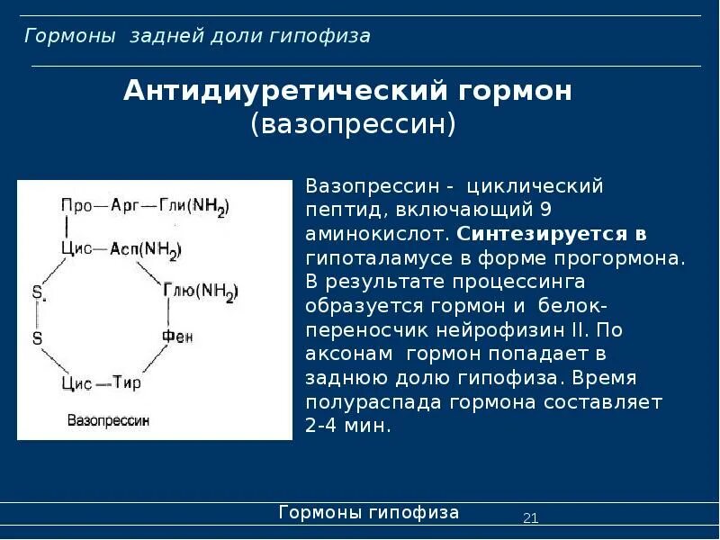 Гипофиза вазопрессин. Гормон вазопрессин химическое строение. Вазопрессин формула химическая. Окситоцин биохимия формула. Химическая структура гормонов окситоцин.