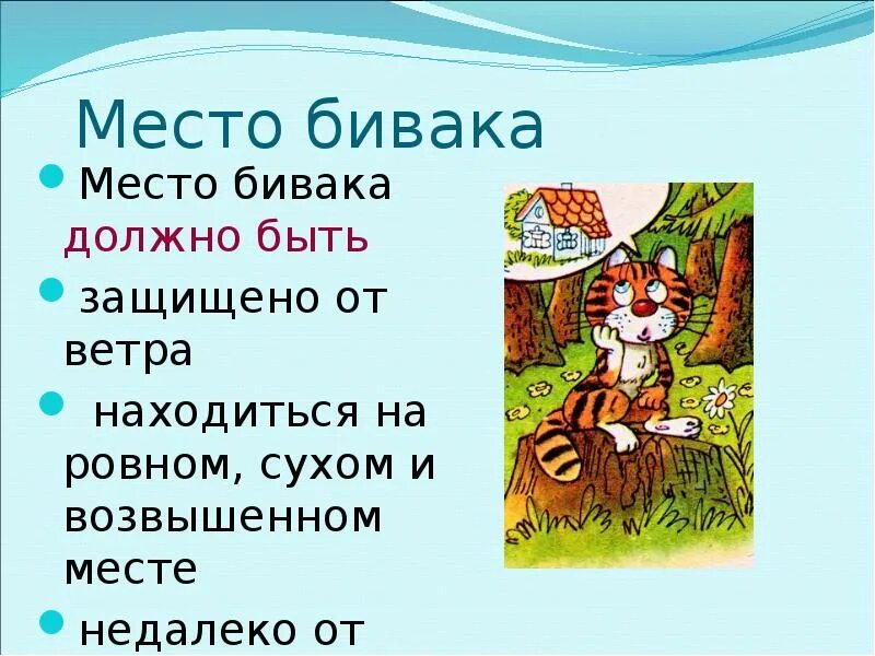 Место для бивака. Выбрать место для бивака. Определение места для бивака. Организации места бивака. Человек устроен странно бивак не отличался