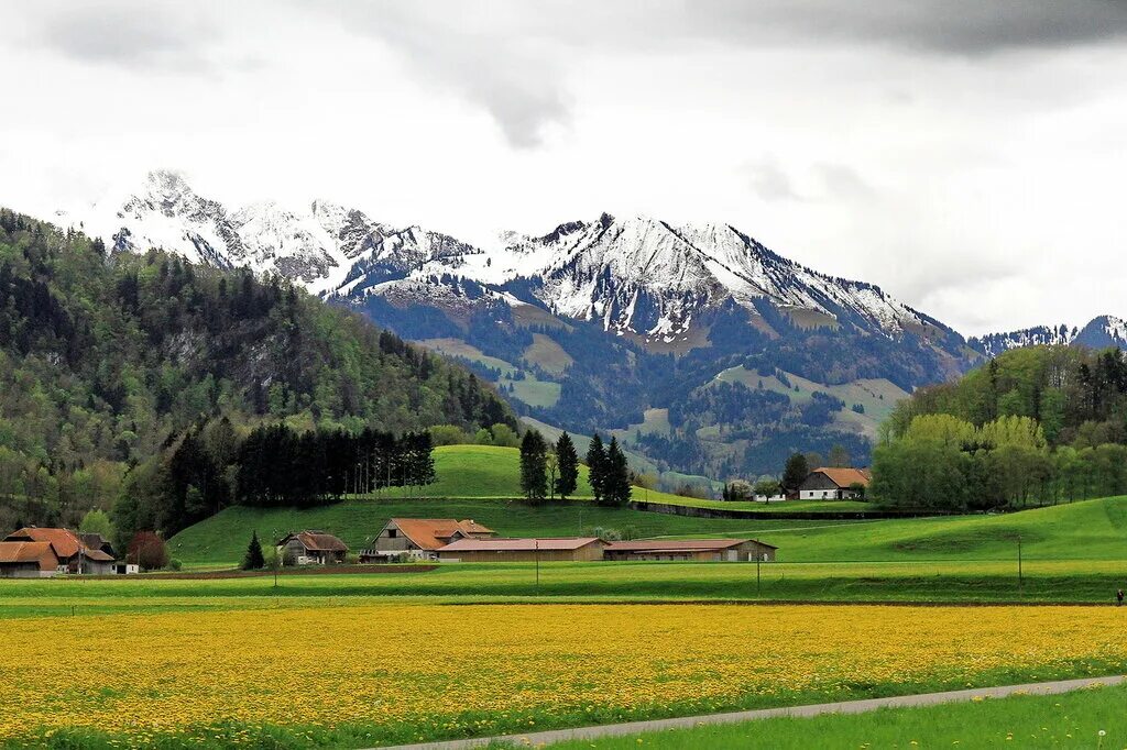 Швейцария 6 букв. Швейцария 6 букв. Швейцария канада расстояние. Швейцария 6 букв. Швейцария 6 букв.