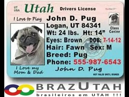 Daddy мобильная license casinos