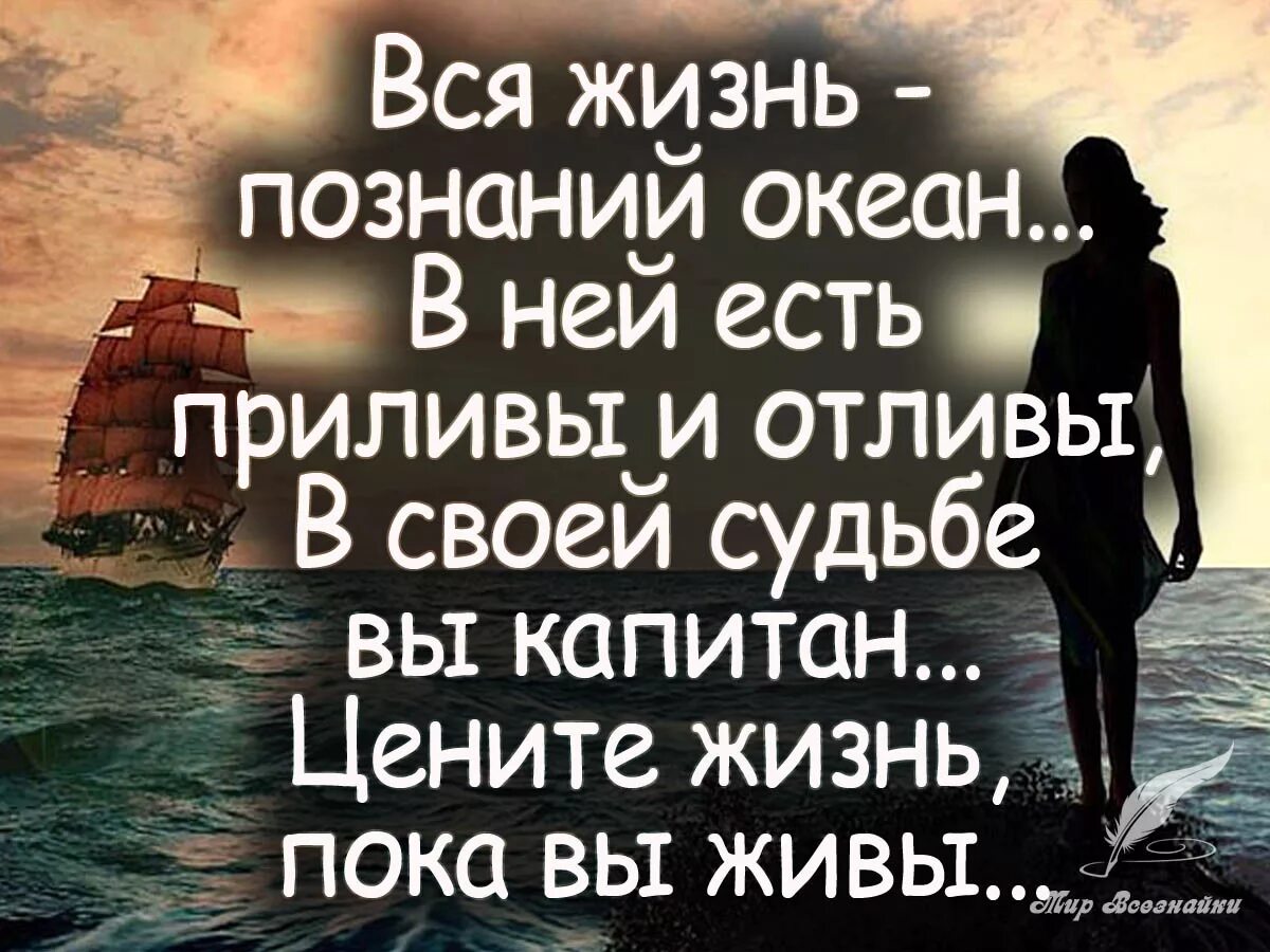 Афоризмы про жизнь. Хорошие цитаты. Цитаты про жизнь. Жизненные фразы. Никогда в жизни пока