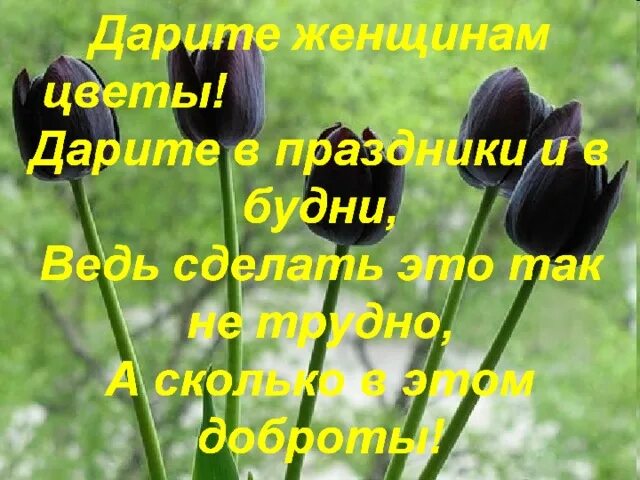 Слова песни дарите женщинам цветы без повода. Стихи Дарите женщинам цветы Дарите женщинам. Стихотворение Дарите женщинам цветы. Стихотворение Дарите девушкам цветы. Стишок Дарите женщинам цветы.