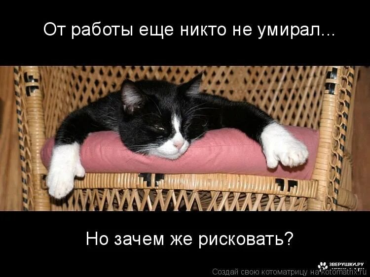 Маяковский выполнил план посылай всех. Ближе к жизни к живому делу. Работа работа перейди. Нравится мне это мужское я так сказал. Советский плакат ближе к жизни к живому делу.