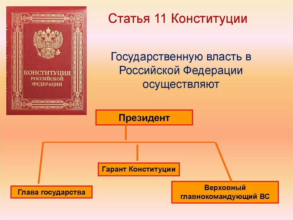 Органы государственной власти обществознание