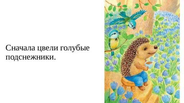 Все цвело сначала цвели. Поздноцветущие многолетники. Долгоцветущие однолетники. Цветы многолетники неприхотливые. Сибирские однолетники.
