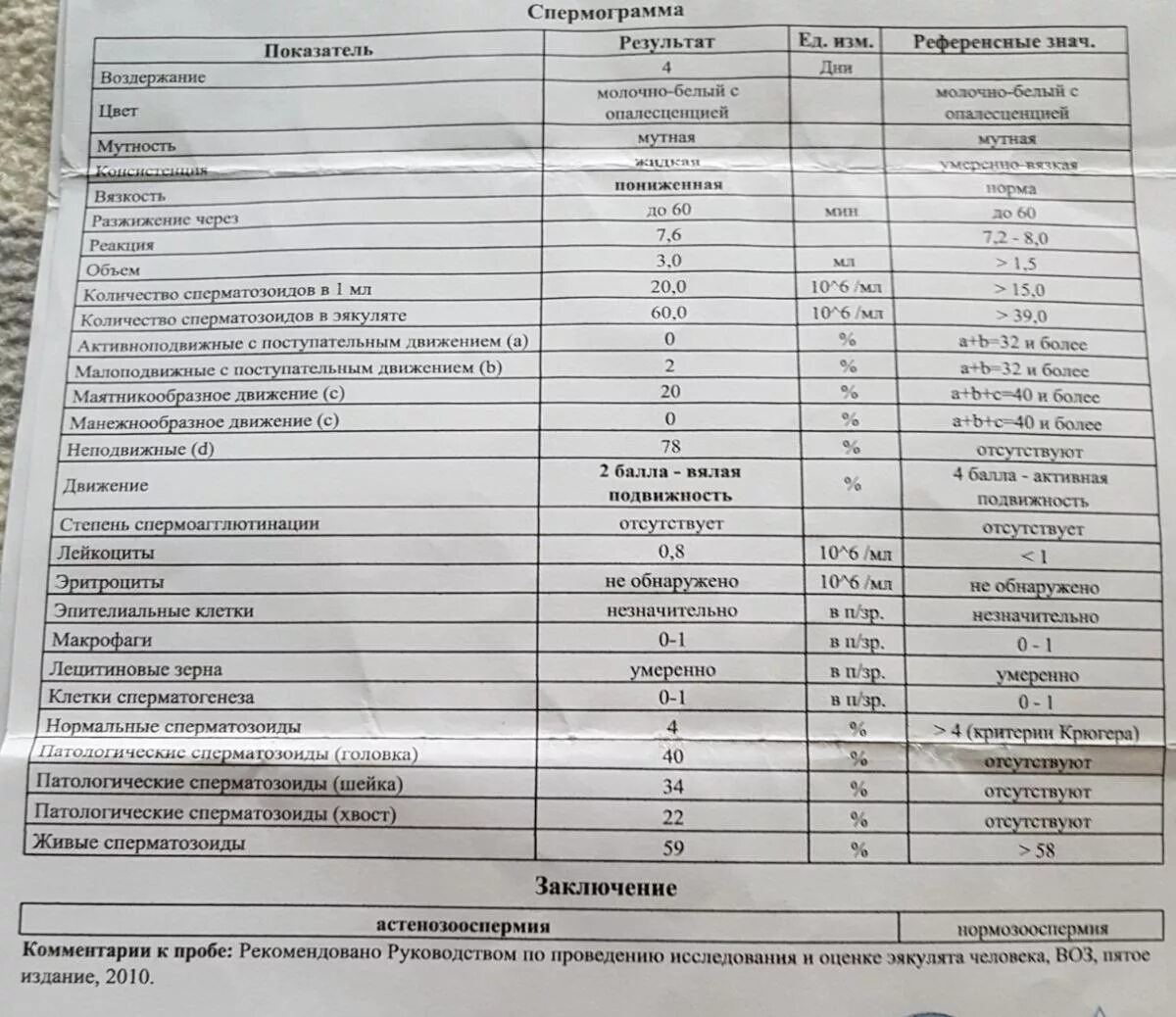 Зерна в спермограмме. Спермограмма при азооспермии. лецитиновые зерна в спермограмме. заключение по спермограмме нормозооспермия что. спермограмма при обструктивной азооспермии.