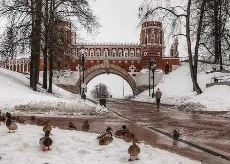 Парк для прогулки зимой