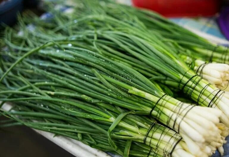 Зеленый лук на зиму. Заготавливаем зеленый лук. Заморозка зелени. Зелёный лук на зиму заготовки. Зелёный лук на зиму.