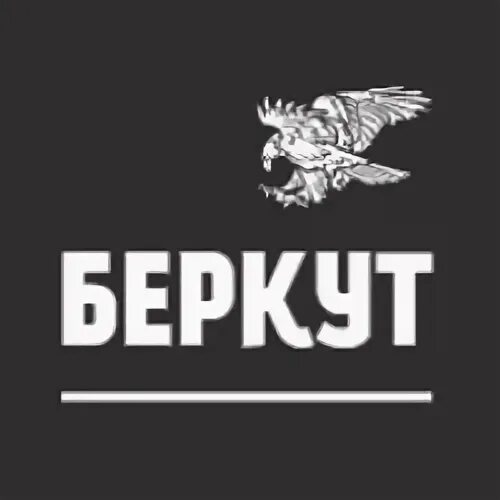 Беркут халзан. Беркут aquila chrysaetos (linnaeus, 1758). Беркут дальневосточный. Беркут символ. Орел беркут.